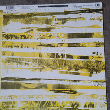 Load image into Gallery viewer, Black Market Paper Society 12x12 Scrapbook Paper Pelican Gulf