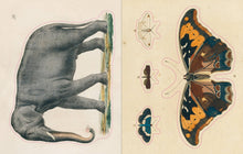 Load image into Gallery viewer, John Derian Sticker Book: Hardcover