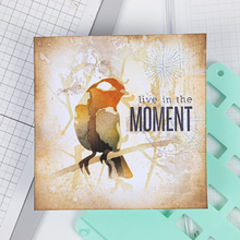 Load image into Gallery viewer, Sizzix Clear Stamp Set Sunnyside Sentiments #2 (665404)