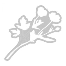 Load image into Gallery viewer, Sizzix® Framelits Die & Stamp Set Painted Pencil Botanical by 49 and Market (666635)