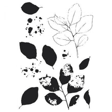 Load image into Gallery viewer, Sizzix® Framelits Die & Stamp Set Painted Pencil Leaves by 49 and Market (666636)