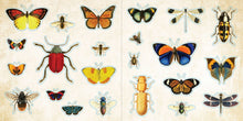 Load image into Gallery viewer, Loads of Ephemera! Sticker Book