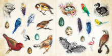 Load image into Gallery viewer, Loads of Ephemera! Sticker Book
