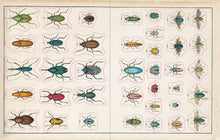 Load image into Gallery viewer, John Derian Sticker Book: Hardcover