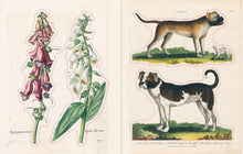 Load image into Gallery viewer, John Derian Sticker Book: Hardcover