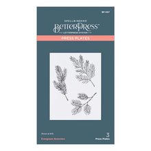 Load image into Gallery viewer, Spellbinders Paper Arts BetterPress Letterpress Press Plate Evergreen Branches (BP-067)