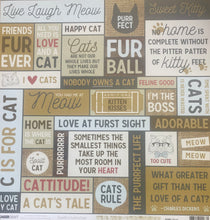 Load image into Gallery viewer, Kaisercraft Pawfect Collection 12x12 Scrapbook Paper Meow (P2263)