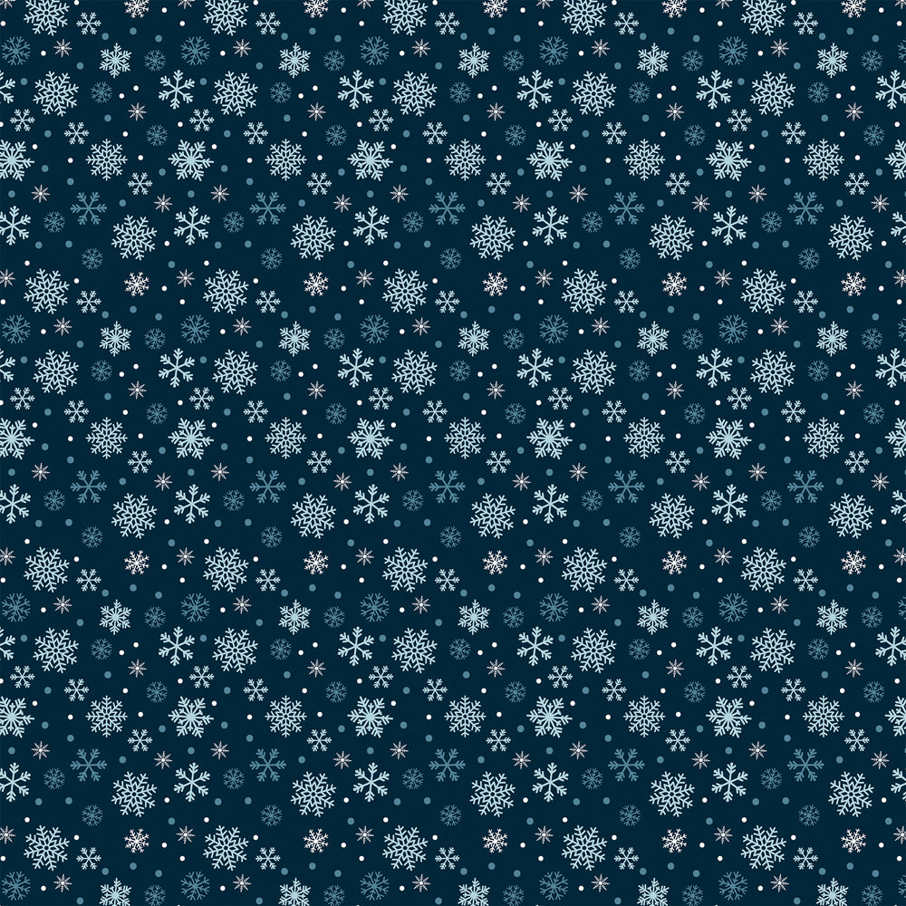 Echo Park Paper Co. The Magic of Winter Collection 12x12 Scrapbook Paper  Winter Snow (MOW291002)