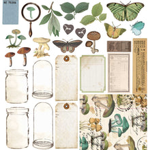 Load image into Gallery viewer, 49 and Market Vintage Artistry Nature Study Collection 12x12 Collection Pack (NS-41657)
