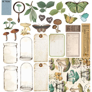 49 and Market Vintage Artistry Nature Study Collection 12x12 Collection Pack (NS-41657)