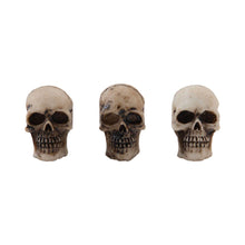 Load image into Gallery viewer, Tim Holtz idea-ology Skulls and Bones (TH94339)