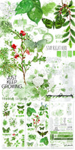 Load image into Gallery viewer, 49 and Market Color Swatch Willow Collection Rub-On Transfer Set (WCS-27976)