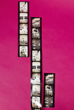 Load image into Gallery viewer, Photographs PET Transparent Tape