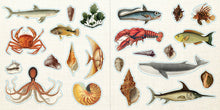 Load image into Gallery viewer, Loads of Ephemera! Sticker Book