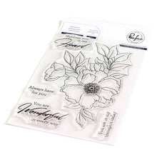 Load image into Gallery viewer, Pinkfresh Studio Clear Stamp Set + Coordinating Die + Stencil Wonderful in Every Way (19243/192323/19223)