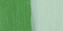 Load image into Gallery viewer, GOLDEN Fluid Acrylics Chromium Oxide Green (2060-1)
