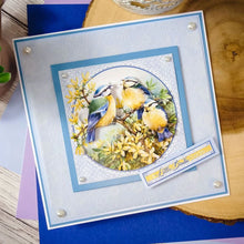 Load image into Gallery viewer, Hunkydory Crafts Limited Horse & Country Decoupage Book (DECBOOK114)