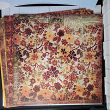 Load image into Gallery viewer, Moda for Daisy D's Paper Assortment