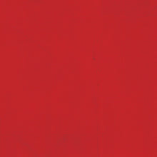 Load image into Gallery viewer, Simple Stories Simple Vintage Christmas Lodge 12x12 Scrapbook Paper Poinsettia/Tinsel (18417)