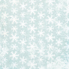 Load image into Gallery viewer, Simple Stories Simple Vintage Winter Woods Collection 12x12 Scrapbook Paper 3x4 Elements (19112)