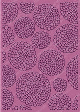 Load image into Gallery viewer, Cuttlebug Embossing Folders Spring Set (2001273)