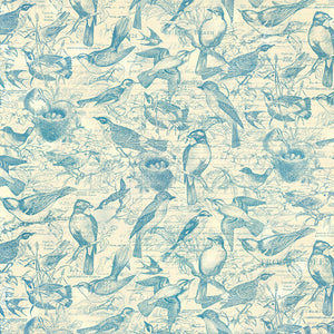 Graphic 45 Bird Watcher Collection 12X12 Scrapbook Paper - Flock Together (4502205)