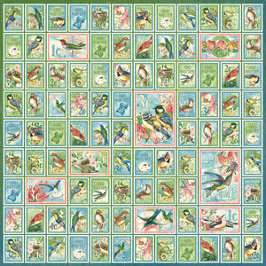 Graphic 45 Bird Watcher Collection 12X12 Scrapbook Paper - Best of Friends (4502207)