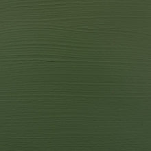 Load image into Gallery viewer, Amsterdam Standard Series Acrylic Olive Green Deep (17096222)