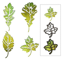 Load image into Gallery viewer, Sizzix Thinlits Dies Leaf Print by Tim Holtz (664970)
