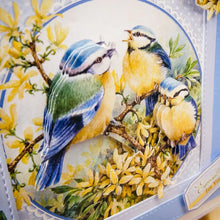 Load image into Gallery viewer, Hunkydory Crafts Limited Horse & Country Decoupage Book (DECBOOK114)