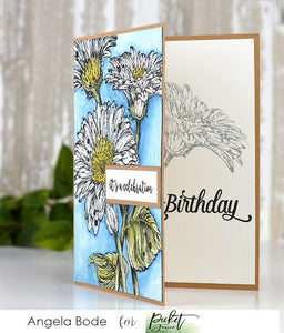 Picket Fence Studios Photopolymer Stamps Inside Quotes: Birthday (S-187)
