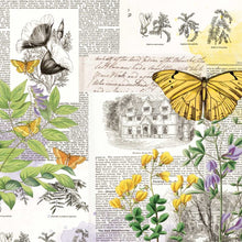 Load image into Gallery viewer, 49 and Market Curators Botanical Collection 12x12 Scrapbook Paper Flutterology (CB-35694)
