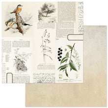 Load image into Gallery viewer, 49 and Market Curators Meadow Collection 12x12 Scrapbook Paper Juniper (CM-37117)
