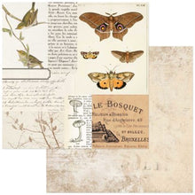 Load image into Gallery viewer, 49 and Market Curators Meadow Collection 12x12 Scrapbook Paper Wings and Things (CM-37124)
