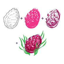 Load image into Gallery viewer, Hero Arts Stamp Color Layering Abalone (CM543)