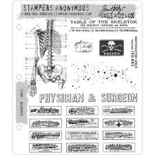 Stampers Anonymous Tim Holtz Collection Examination (CMS412)