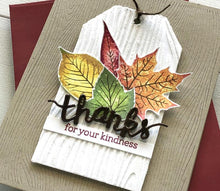 Load image into Gallery viewer, Hero Arts Woodgrain Texture Fancy Die (DI531)