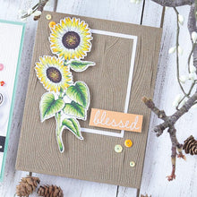 Load image into Gallery viewer, Hero Arts Woodgrain Texture Fancy Die (DI531)