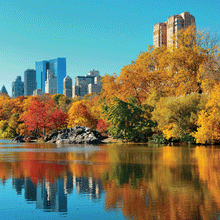 Load image into Gallery viewer, Reminisce New York Collection 12x12 Scrapbook Paper Central Park (NYO-002)