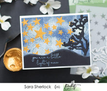 Load image into Gallery viewer, Picket Fence Studios Clear Stamp Round and Round We Go (BB-135)