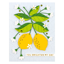 Load image into Gallery viewer, Spellbinders Paper Arts Die Lemon Zest (S4-1173)