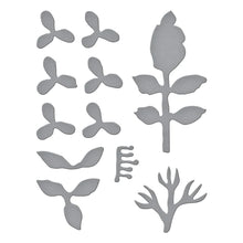 Load image into Gallery viewer, Spellbinders Paper Arts Cutting Dies Jasmine (S4-1204)