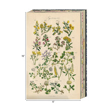 Load image into Gallery viewer, Tim Holtz idea-ology Backdrops Volume 3 (TH94247)