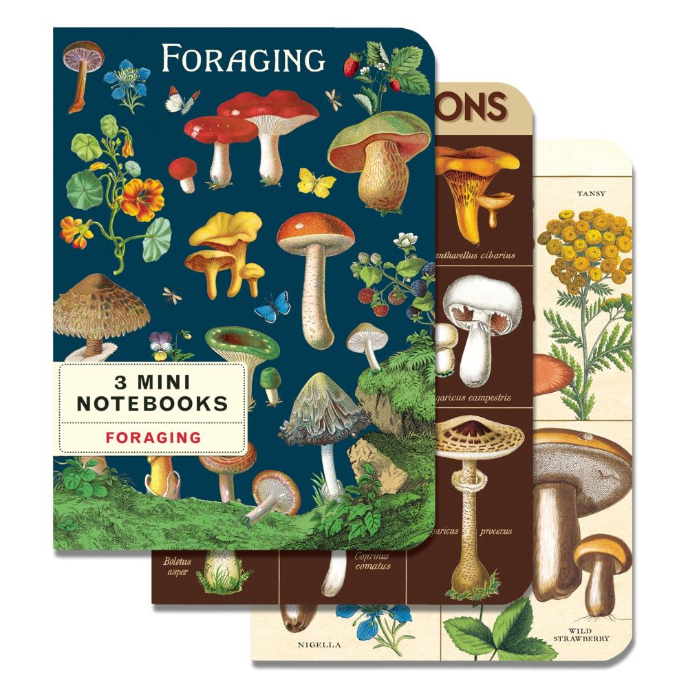 Cavallini & Co Mini Notebooks Foraging