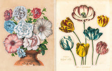 Load image into Gallery viewer, John Derian Sticker Book: Hardcover
