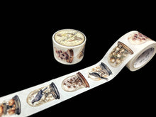 Load image into Gallery viewer, Specimen Display Domes Tapes: Transparent/PET tape
