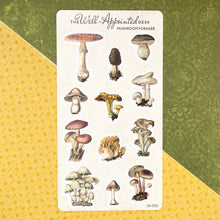 Load image into Gallery viewer, Mushroom Forager Sticker Sheet (24-003)
