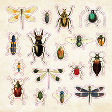 Load image into Gallery viewer, The Sticker Book of Curiosities
