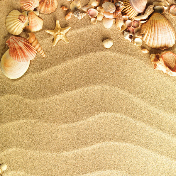 Scrapbook Customs 12x12 Scrapbook Paper Sea Shells & Sand (36053)