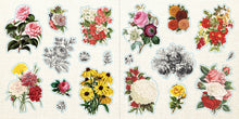 Load image into Gallery viewer, Loads of Ephemera! Sticker Book
